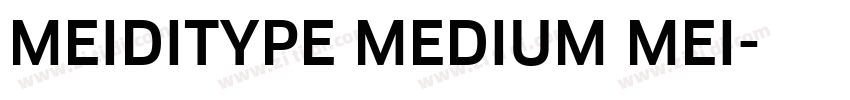 MEIDITYPE MEDIUM MEI字体转换